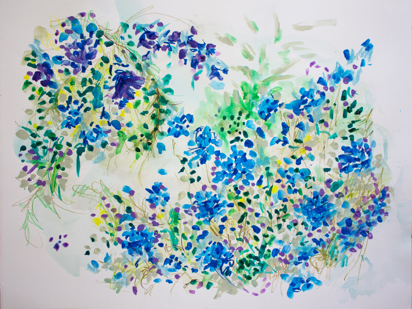 Floral on Paper #5